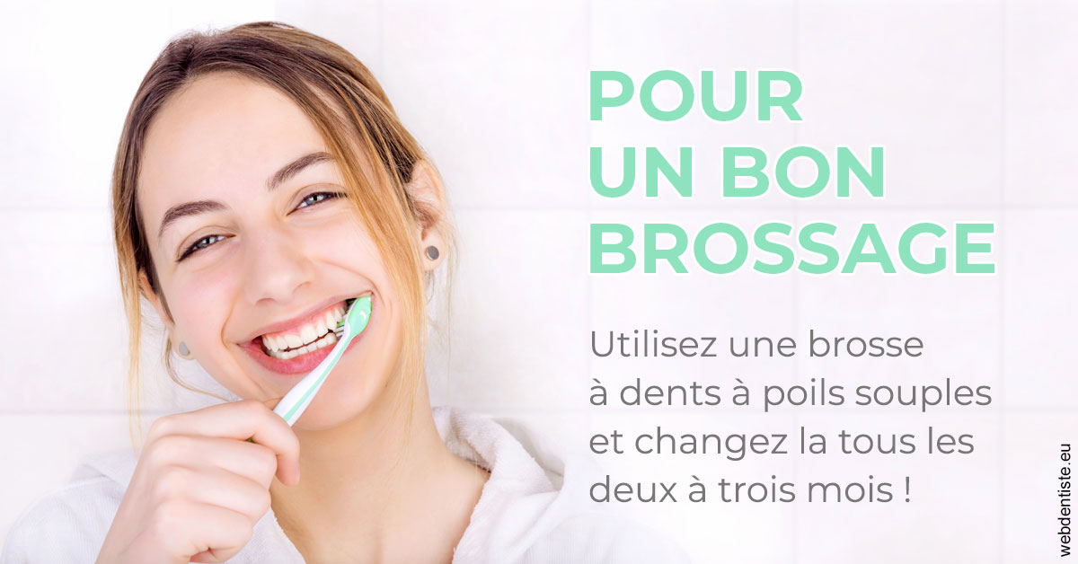 https://www.dentiste-bruxelles-iovleff.be/Pour un bon brossage 2