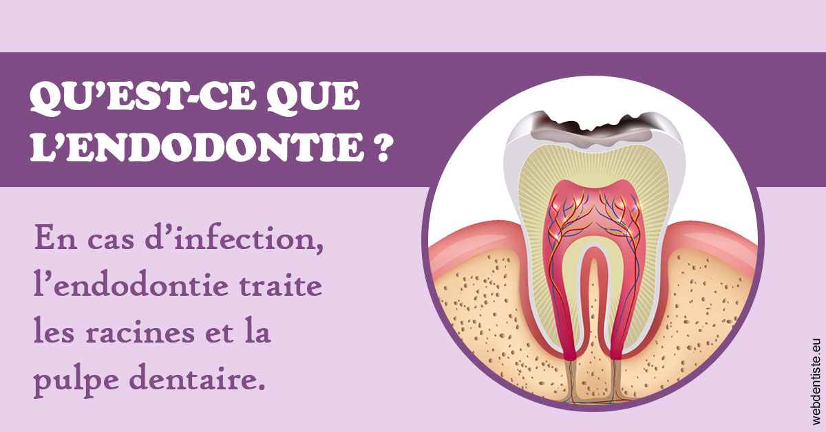https://www.dentiste-bruxelles-iovleff.be/2024 T1 - Endodontie 02