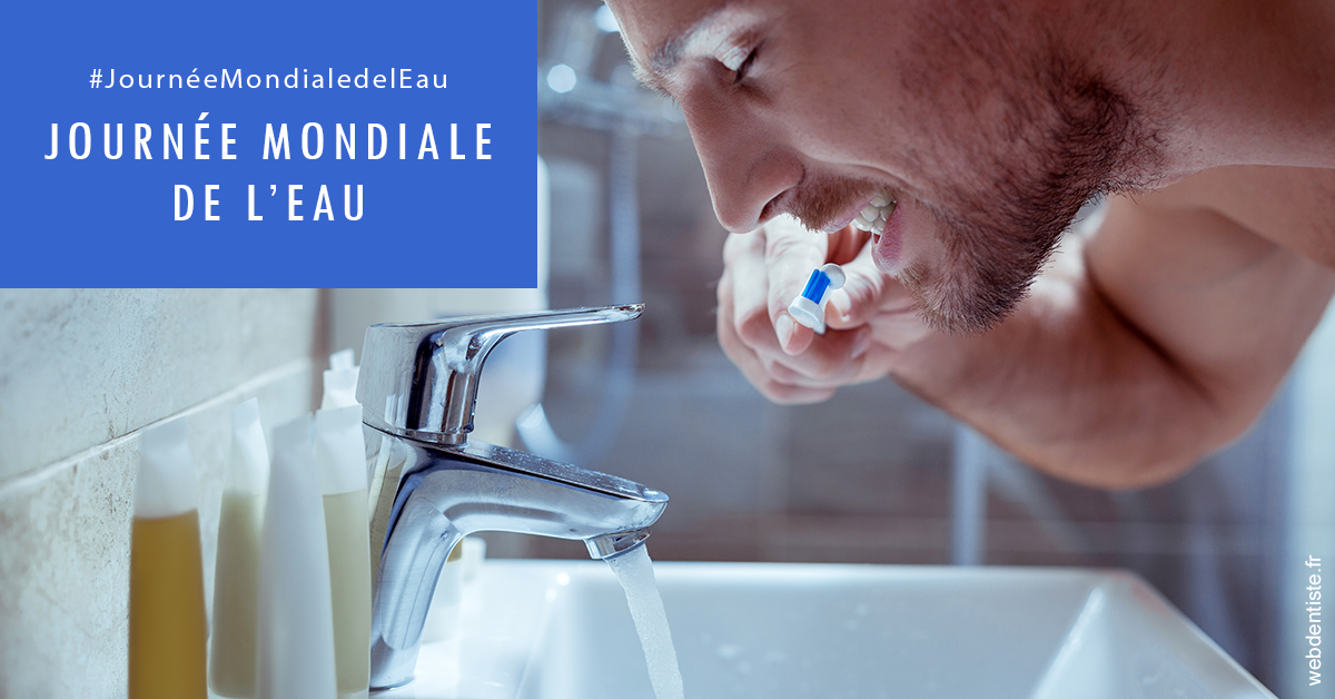 https://www.dentiste-bruxelles-iovleff.be/Journée de l'eau 2