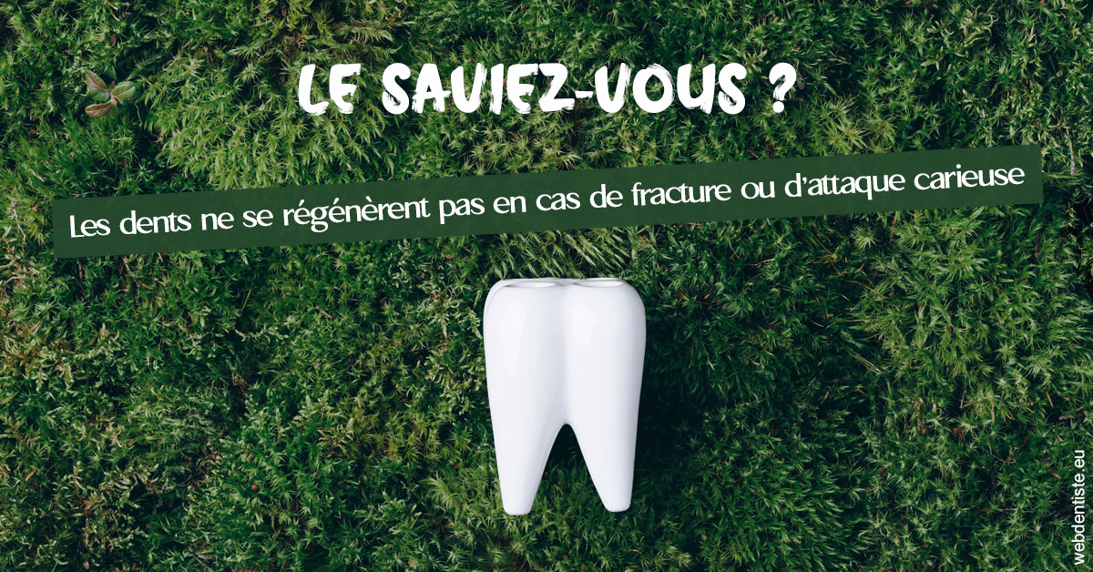 https://www.dentiste-bruxelles-iovleff.be/Attaque carieuse 1