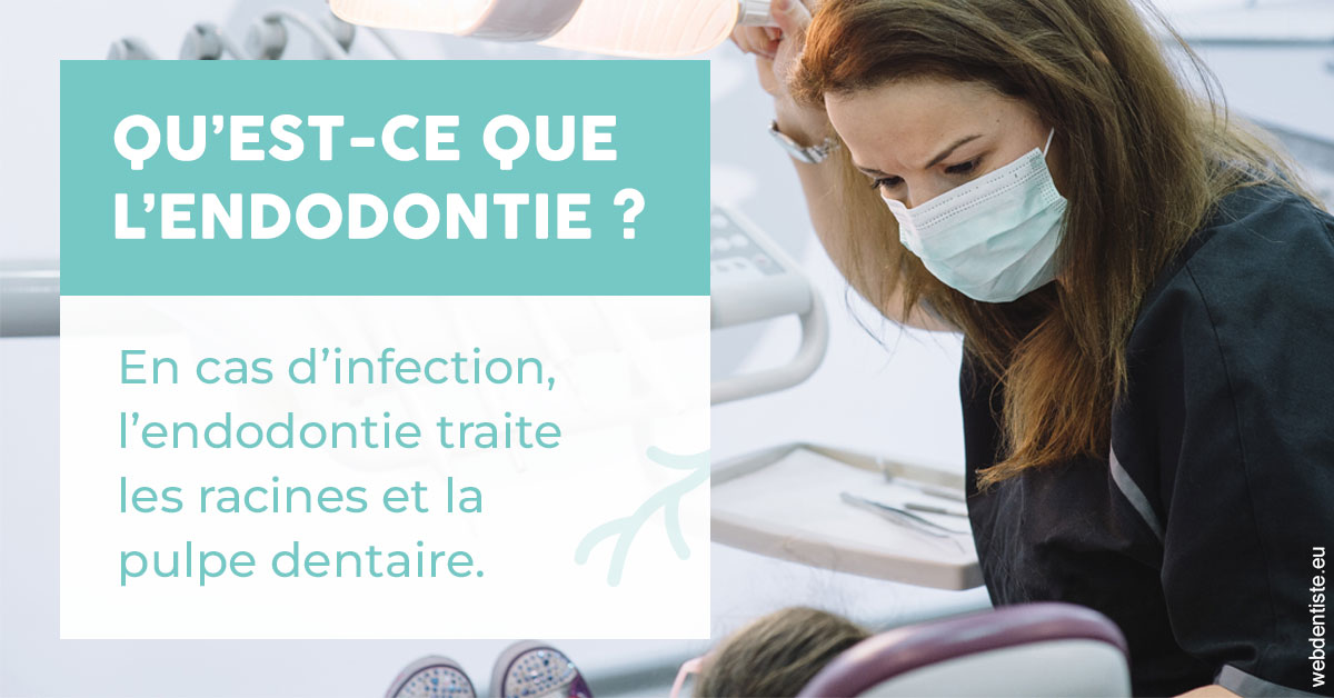 https://www.dentiste-bruxelles-iovleff.be/2024 T1 - Endodontie 01