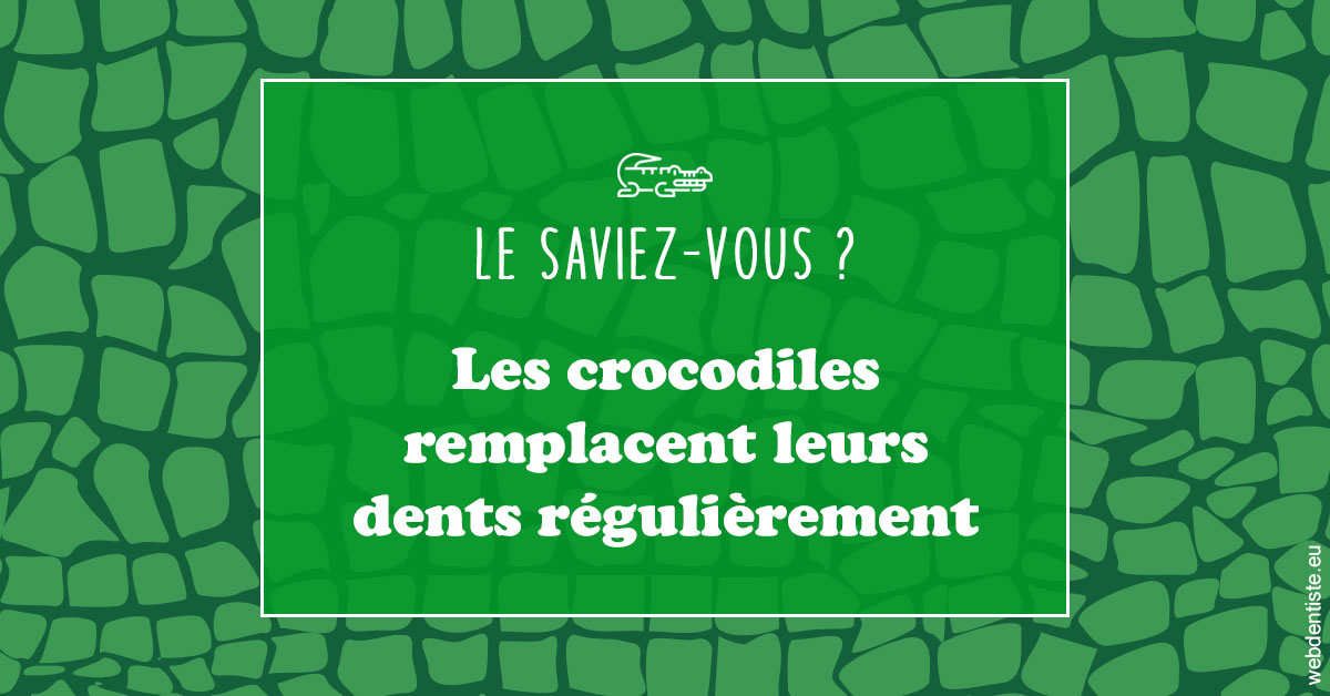 https://www.dentiste-bruxelles-iovleff.be/Crocodiles 1